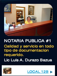 Notario Publico #1